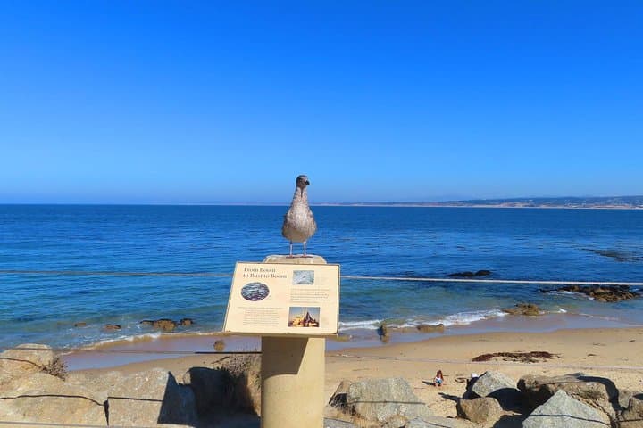 Historic Cannery Row Audio Walking Tour — Explore John Steinbeck's Monterey photo 5