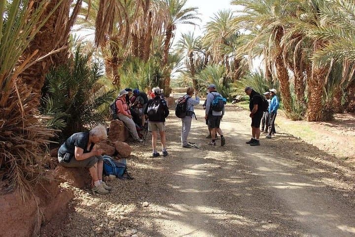 6-Day Trek Through Tafraout and Morocco’s Anti-Atlas Mountains photo 3