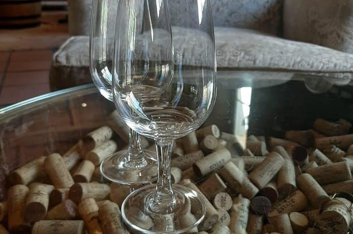 Penguins and Wine: Boulders Beach Penguin Colony and Constantia Wine Tasting from Cape Town photo 4