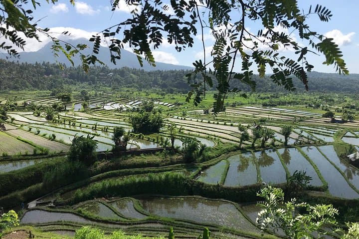 East Bali Best Day Tour: Gate of Heaven, Tirta Gangga & Virgin Beach photo 5