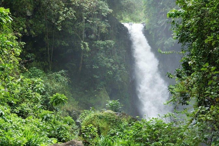 Peep to the Peak: Kilimanjaro Day Hike from Marangu Gate photo 6