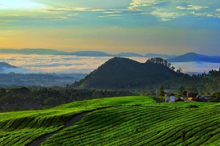 Jakarta-airport-to-tangkuban-perahu-luwak-coffee-sari-ater-hot-springs-and-angklung