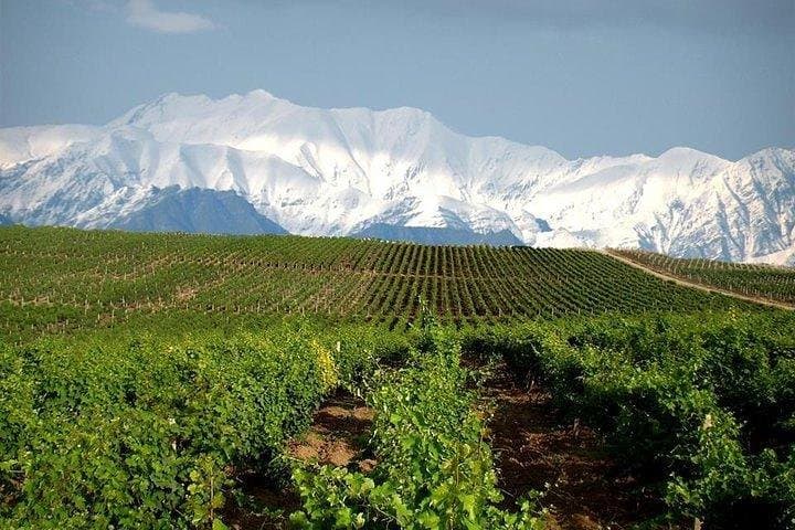 Ismayilli Wine Tour and Tasting with Local Lunch photo 4