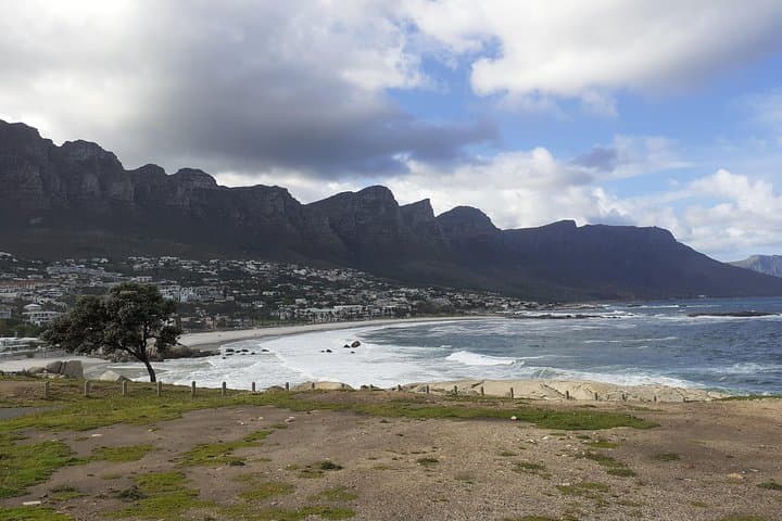 Half-Day African Penguin Tour to Boulders Beach & Cape Peninsula Sights photo 2