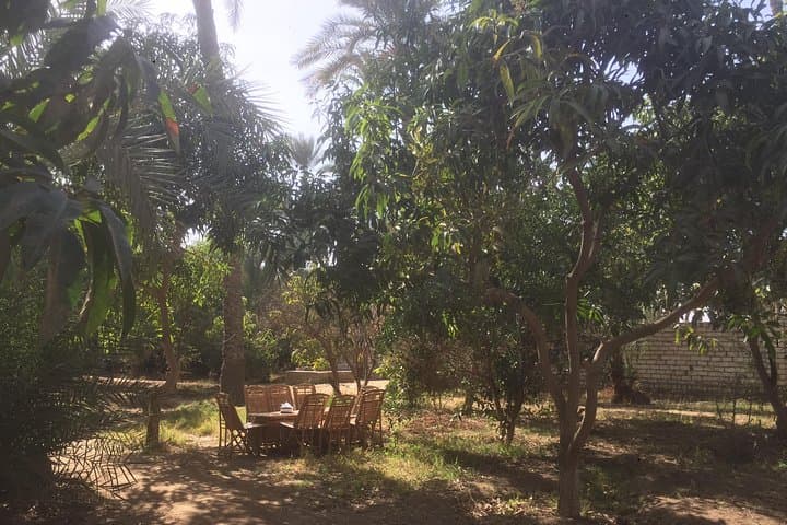 Dahshur Farm-to-Table Tour: Bent & Red Pyramids with Rural Nile Lunch photo 2