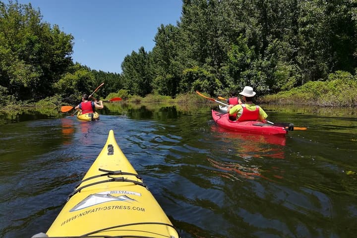 Paddle the Belgrade Amazon: 18km Kayak Adventure Through Beljarica Wetlands photo 2