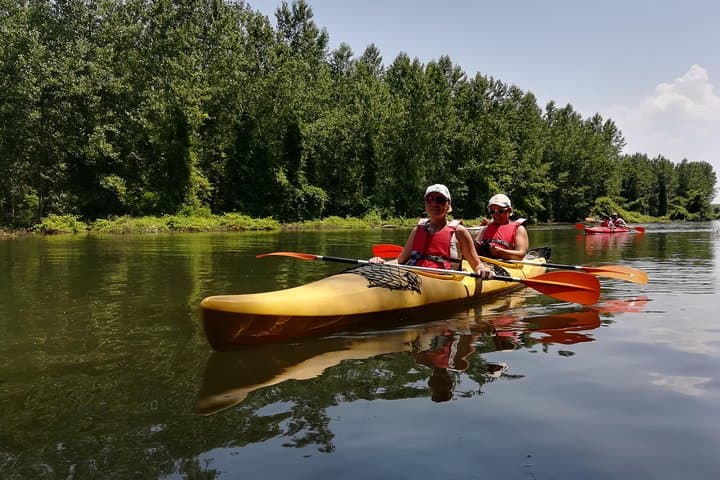 Paddle the Belgrade Amazon: 18km Kayak Adventure Through Beljarica Wetlands photo 3