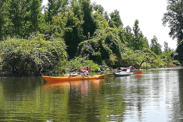 Paddle the Belgrade Amazon: 18km Kayak Adventure Through Beljarica Wetlands photo 4