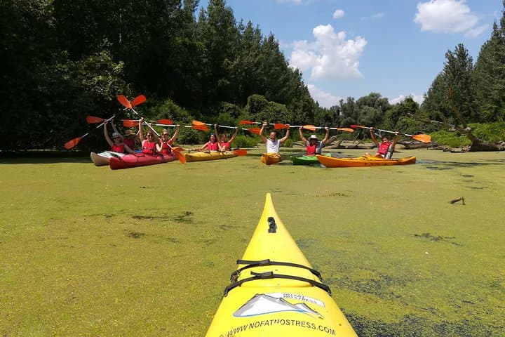Paddle the Belgrade Amazon: 18km Kayak Adventure Through Beljarica Wetlands photo 5