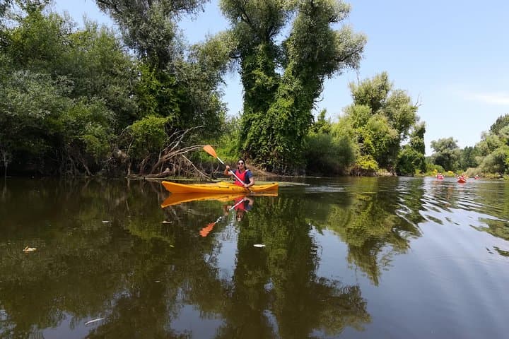 Paddle the Belgrade Amazon: 18km Kayak Adventure Through Beljarica Wetlands photo 6