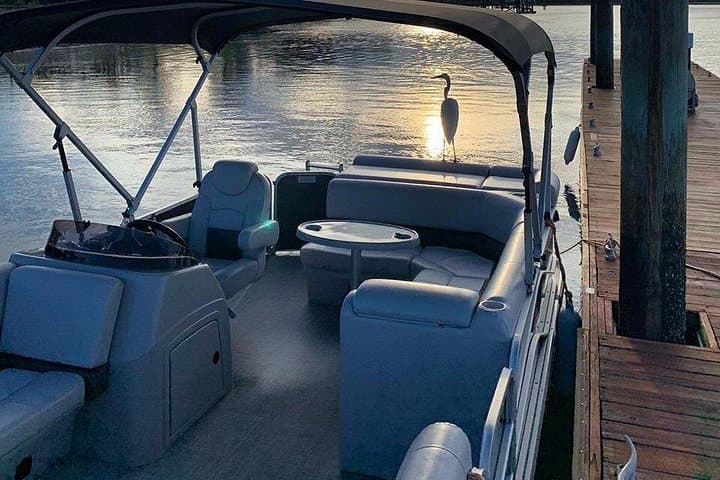 Hilton Head Pontoon Boat Rental: 2-Hour Private Cruise Through Skull Creek photo 3