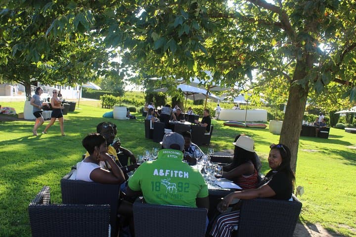 Private Cape Town Wine Tour: Stellenbosch & Franschhoek Day Trip photo 6
