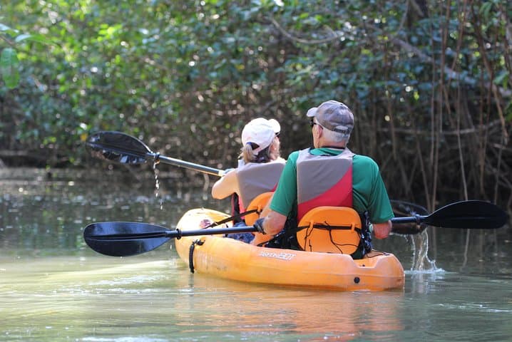 Damas Island Mangrove Kayak Tour — Manuel Antonio Estuary Paddle photo 3