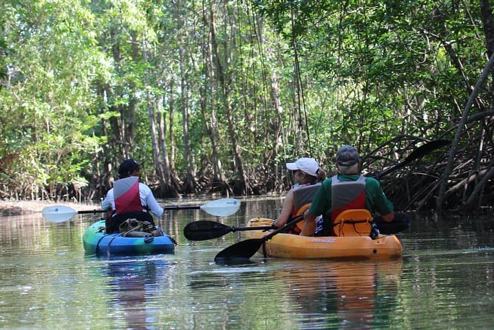 Damas Island Mangrove Kayak Tour — Manuel Antonio Estuary Paddle photo 4
