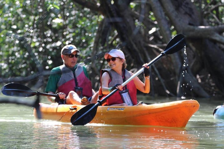 Damas Island Mangrove Kayak Tour — Manuel Antonio Estuary Paddle