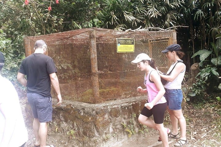El Valle de Antón Day Tour: Volcano Crater Town, Waterfall & Hot Springs photo 6