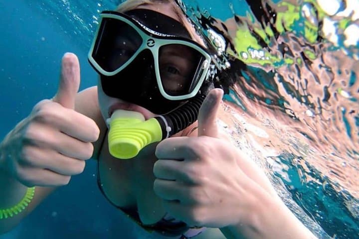 Hol Chan Full-Day Snorkel: Sharks, Rays, Turtles & Hol Chan Reserve