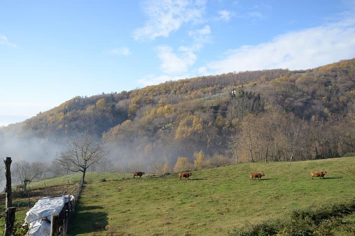 Trek the Apennines to a Ghost Village: Mugello Day Hike with Tuscan Food & Wine photo 3