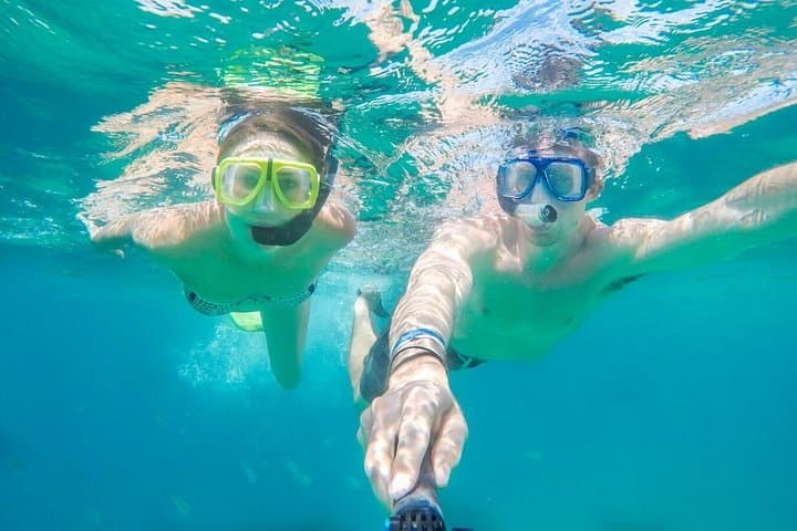 Land's End Snorkeling at El Arco: Pelican Rock & Sea Lion Colony photo 2
