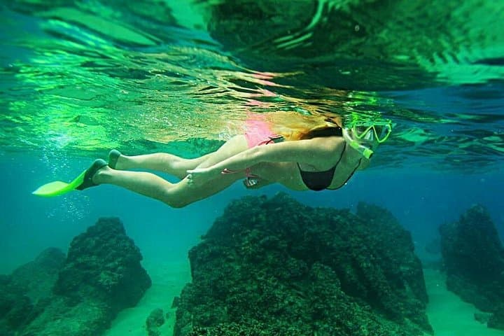 Land's End Snorkeling at El Arco: Pelican Rock & Sea Lion Colony photo 4