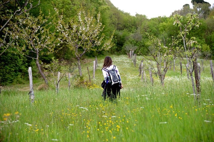 Trek the Apennines to a Ghost Village: Mugello Day Hike with Tuscan Food & Wine