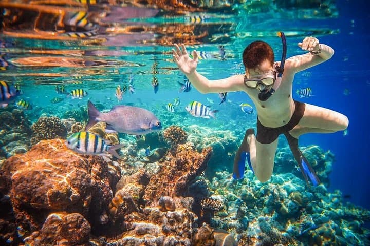Land's End Snorkeling at El Arco: Pelican Rock & Sea Lion Colony photo 1
