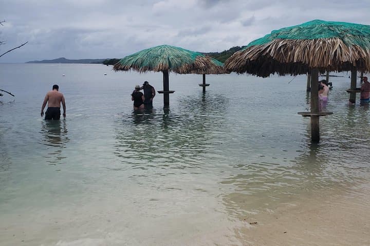 Roatán Animal Sanctuary & Island Adventure: Private Island Tour with Wildlife Encounters photo 3