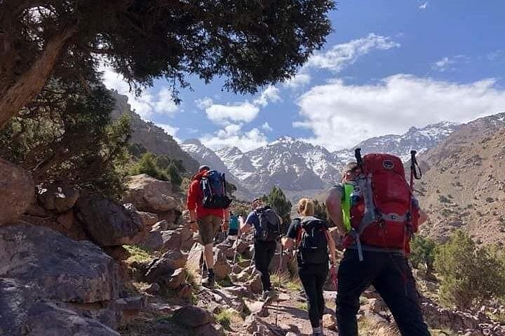 Atlas Mountains Day Hike from Marrakech to Kik Plateau & Toubkal Views photo 3