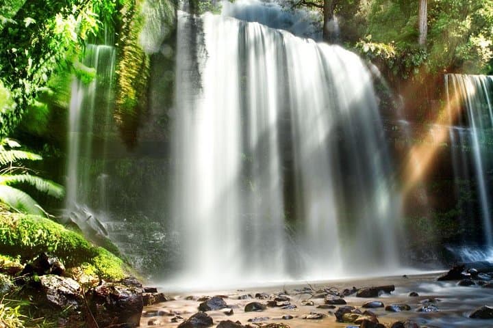 Mount Field Day Tour — Private Charter to Russell Falls & Bonorong Wildlife Sanctuary