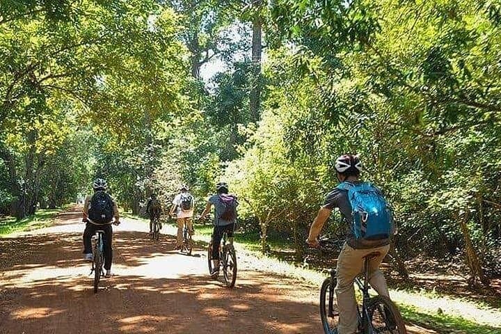 Siem Reap Bike Tour: Angkor Wat & Bayon — The Smiling Temple Ride photo 3