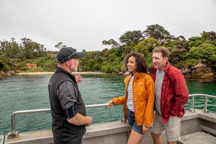 Ulva Island Explorer: Paterson Inlet Cruise & Guided Ulva Island Walk photo 2