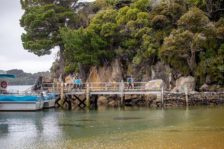 Ulva Island Explorer: Paterson Inlet Cruise & Guided Ulva Island Walk photo 4