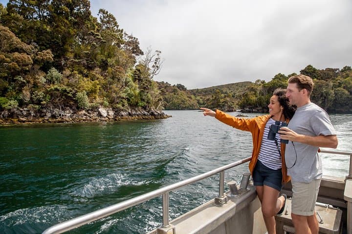 Ulva Island Explorer: Paterson Inlet Cruise & Guided Ulva Island Walk photo 3