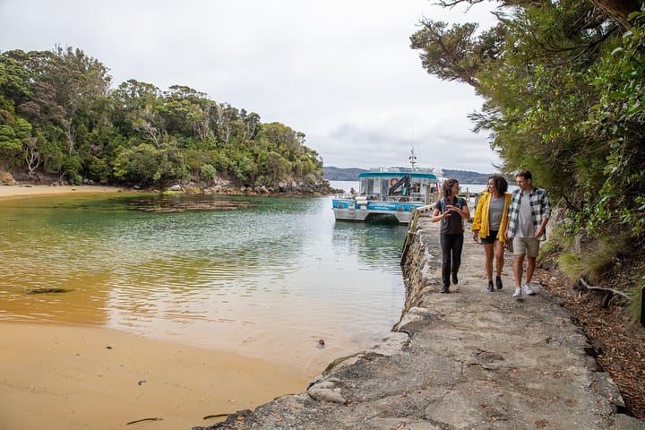 Ulva Island Explorer: Paterson Inlet Cruise & Guided Ulva Island Walk photo 5