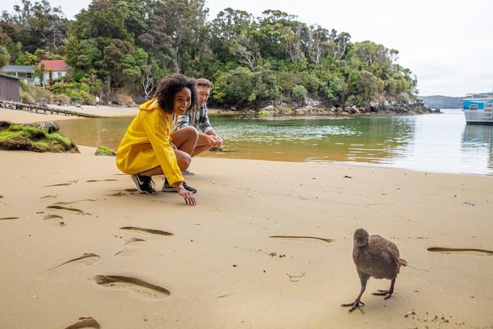 Ulva Island Explorer: Paterson Inlet Cruise & Guided Ulva Island Walk