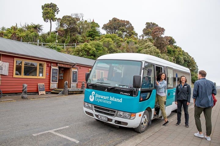 Stewart Island Village and Bays Tour — Oban, Halfmoon & Horseshoe Bay Minibus Excursion