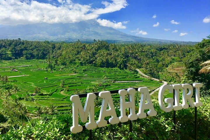 Gate of Heaven & East Bali Private Tour: Lempuyang, Waterfalls, and Rice Terraces photo 4