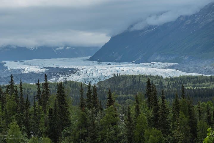 On the Ice: A Day Hike Across Matanuska Glacier (Guided Tour) photo 4