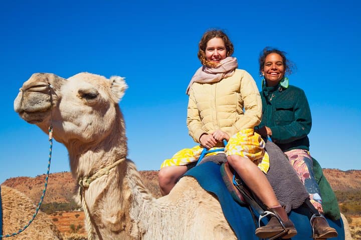 Sunset Camel Ride at Pyndan: Alice Springs Camel Tour in the Red Centre photo 3