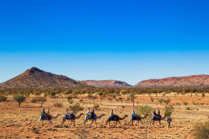 Sunset Camel Ride at Pyndan: Alice Springs Camel Tour in the Red Centre photo 4