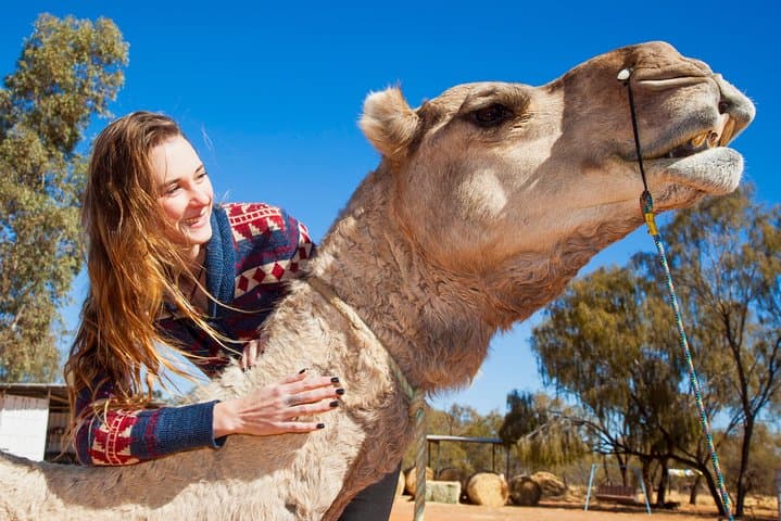 Sunset Camel Ride at Pyndan: Alice Springs Camel Tour in the Red Centre photo 5
