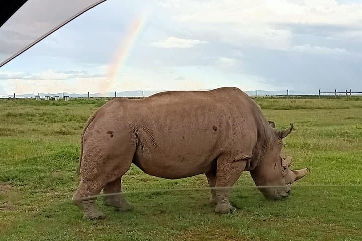 9-Day Rhino & Elephant Safari: Maasai Mara, Ol Pejeta & Amboseli photo 1