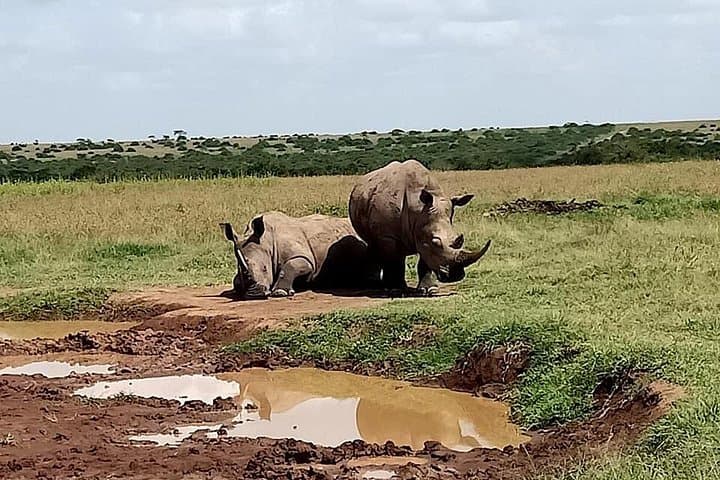 9-Day Rhino & Elephant Safari: Maasai Mara, Ol Pejeta & Amboseli photo 3
