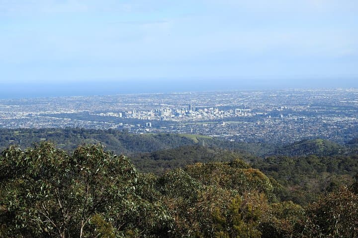 Adelaide Hills Private Day Tour — Hahndorf, Wine Tasting & Mount Lofty Lookout photo 6