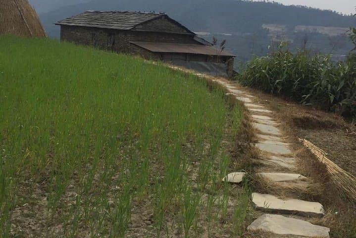 Astam Village Day Hike From Pokhara — Homestay Trails & Annapurna Rim Views photo 3
