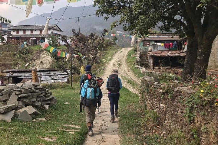 Pumdikot Day Hike from Pokhara — Fewa Lake Views & Annapurna Panorama photo 5