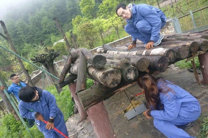 Dujiangyan Panda Volunteer Day Trip & Mount Qingcheng Self-Guided Tour from Chengdu photo 3