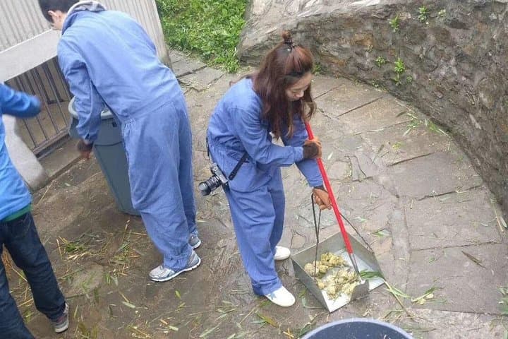Dujiangyan Panda Volunteer Day Trip & Mount Qingcheng Self-Guided Tour from Chengdu photo 4