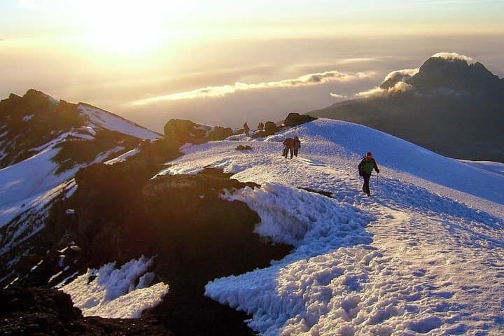 7-Day Lemosho Route Kilimanjaro Trek — Summit Uhuru Peak via Londorossi Gate photo 2
