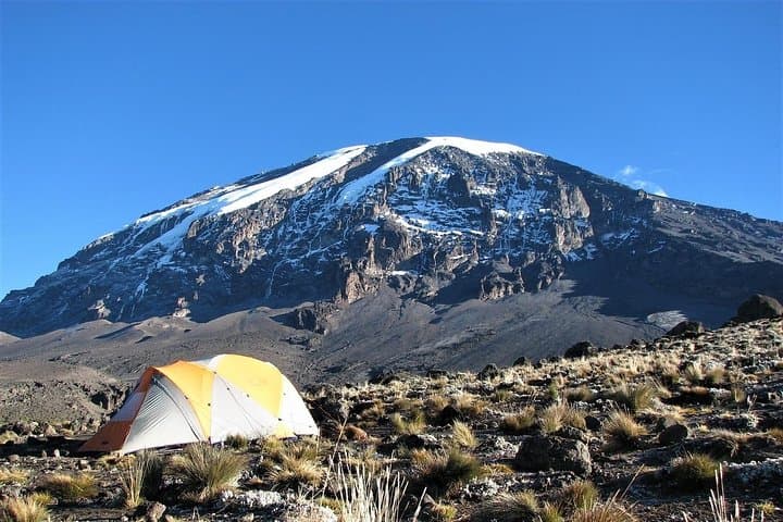 7-Day Lemosho Route Kilimanjaro Trek — Summit Uhuru Peak via Londorossi Gate photo 3